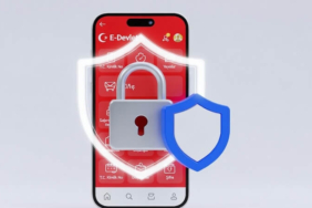 E-Devlet şirket kısıtlama ve kimlik güvenliği