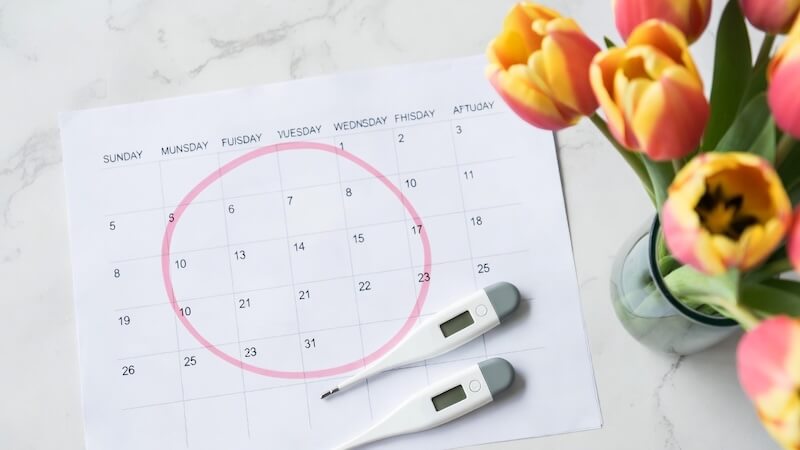 Yumurtlama dönemi hesaplama ve adet takvimi